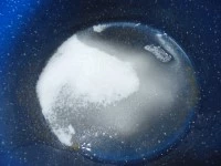 gelatina di albicocche immagine 7